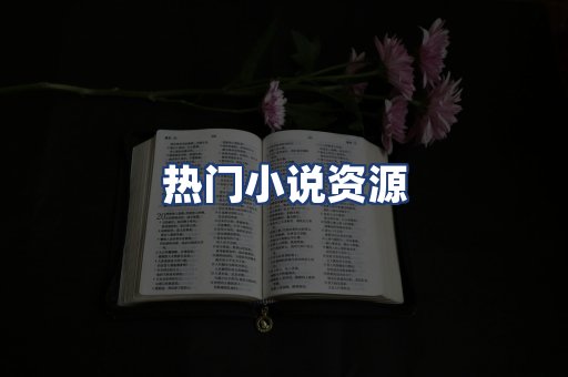 热门小说资源